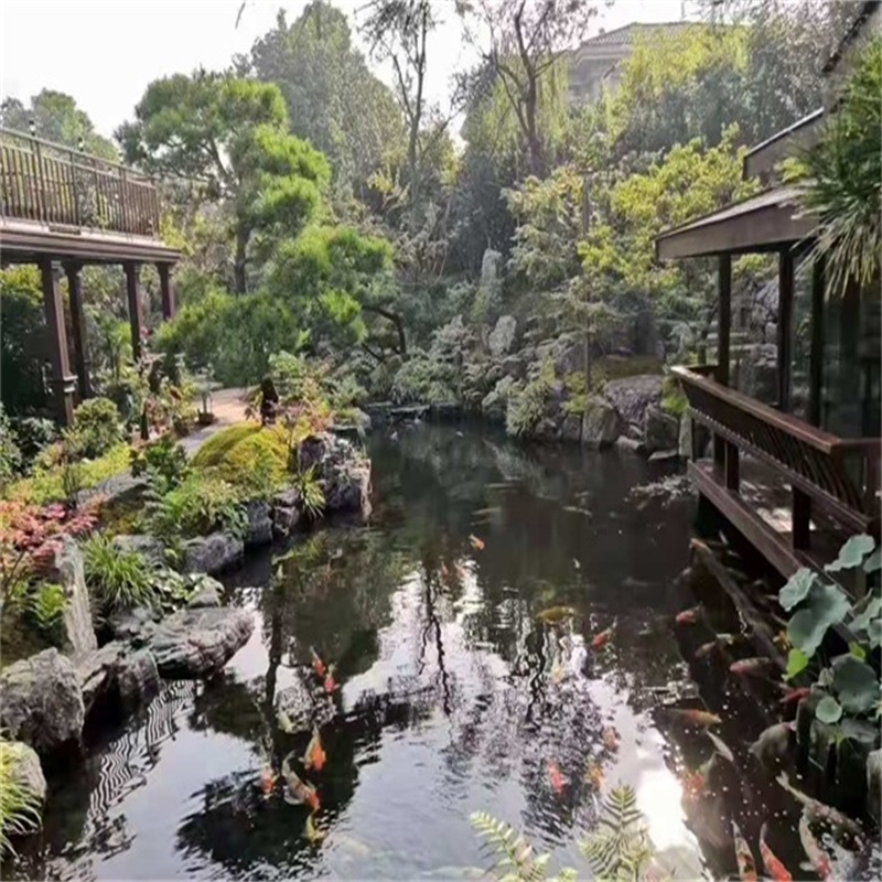 荔湾假山植物小鱼池